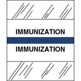 Medical Chart Index Tabs