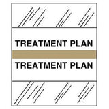 Medical Chart Index Tabs