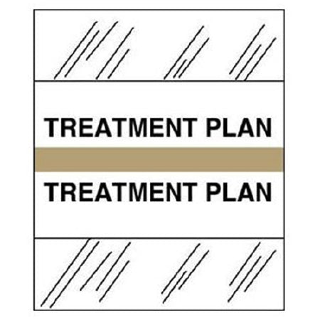 Medical Chart Index Tabs