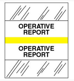 Medical Chart Index Tabs