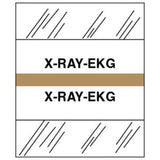 Medical Chart Index Tabs