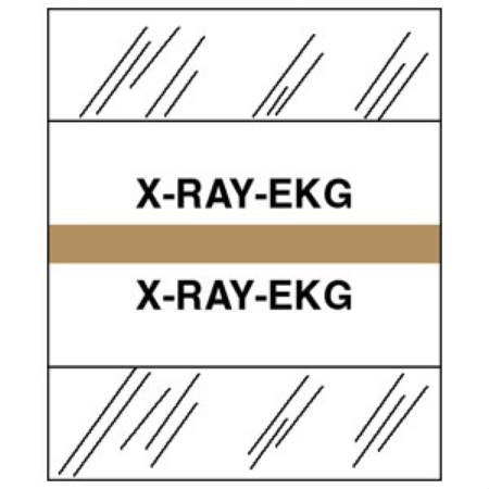 Medical Chart Index Tabs