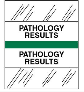 Medical Chart Index Tabs